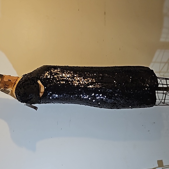 Sequins anyone?   Darling NWT Banana Republic size 4 dress - Picture 8 of 13